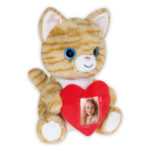 PHOTO CAT - Imagen 4