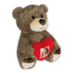 PHOTO TEDDY BROWN - Imagen 4